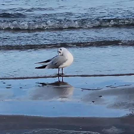 Sonnensee Aalweg Haffkrug