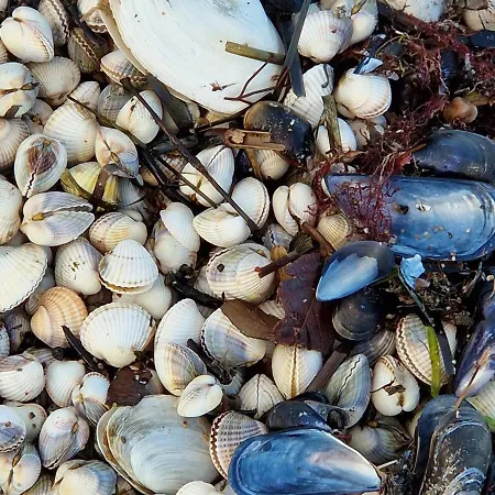 Lejlighed Sonnensee Aalweg